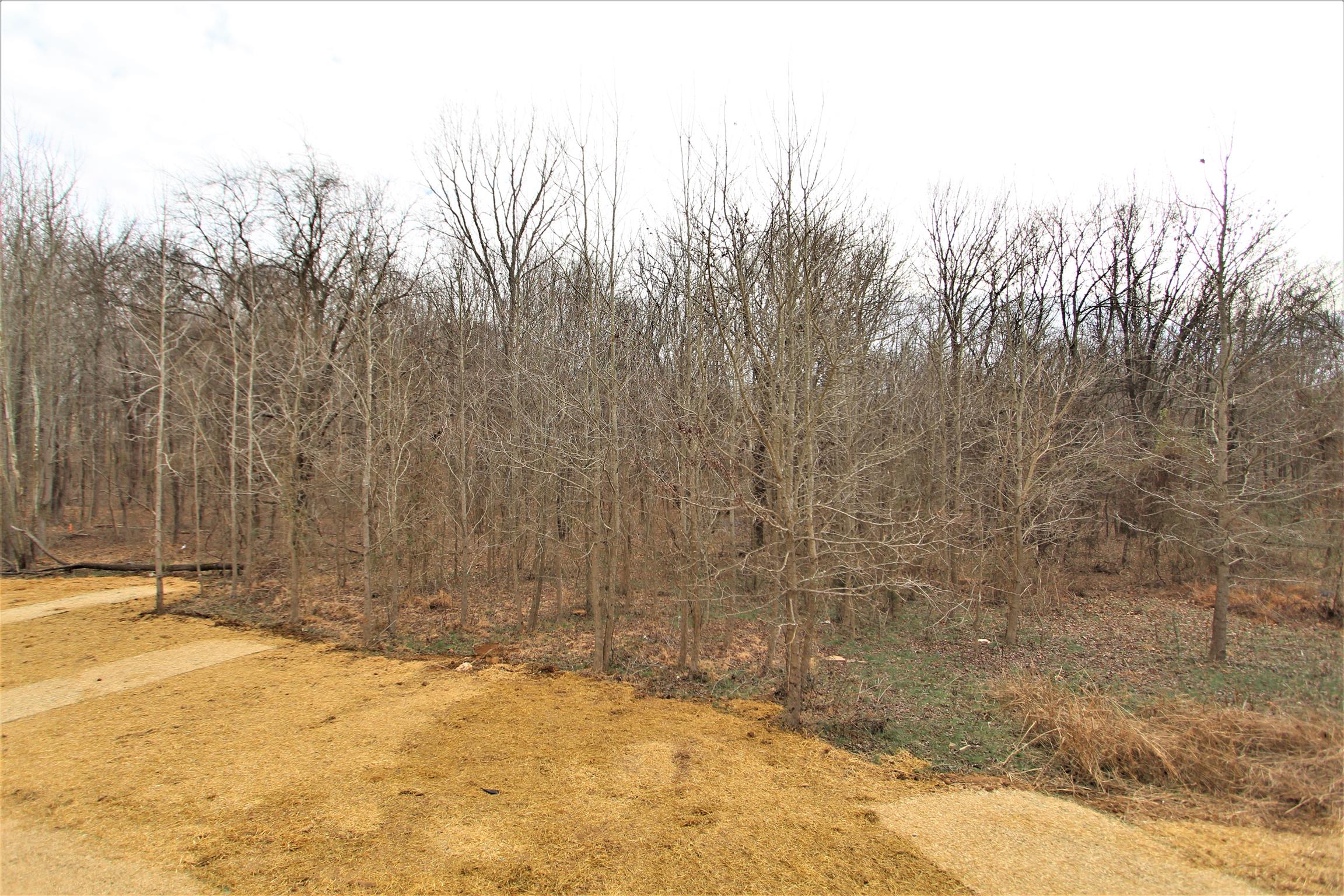 106 Brixton Ridge, Unit 3 Lebanon, TN 37087 - Photo 24 of 25 Gallery Image 24