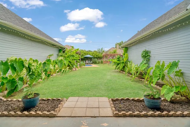 a view of a backyard with plants