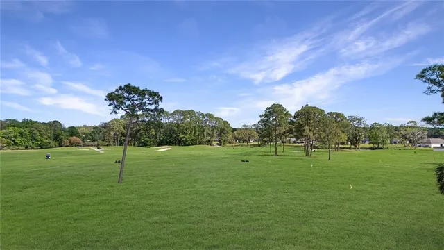 a view of grassy field with trees