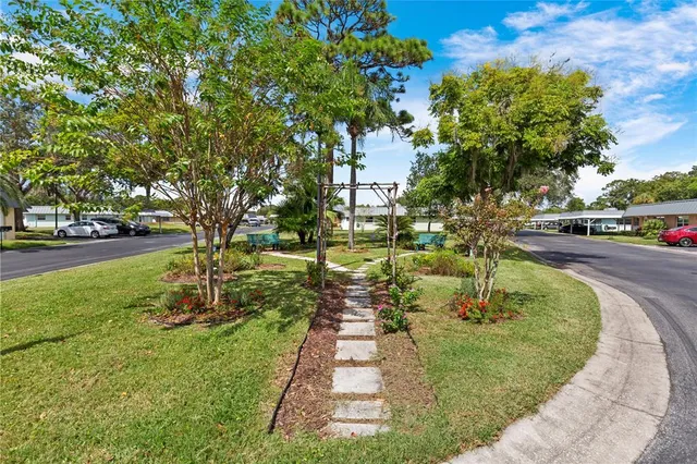 a view of a park with large trees