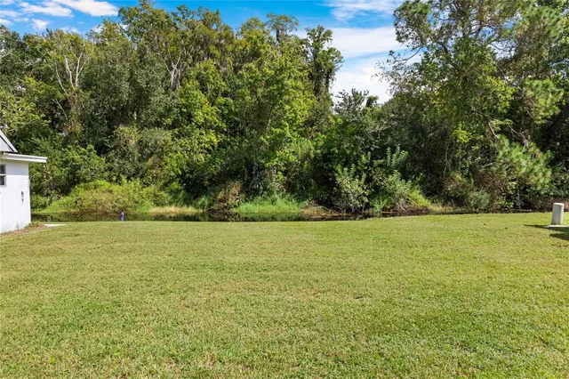 a view of a field with an trees