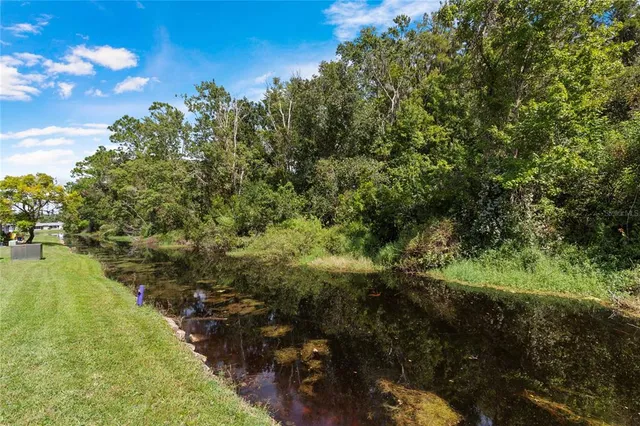 a view of a yard with a trees