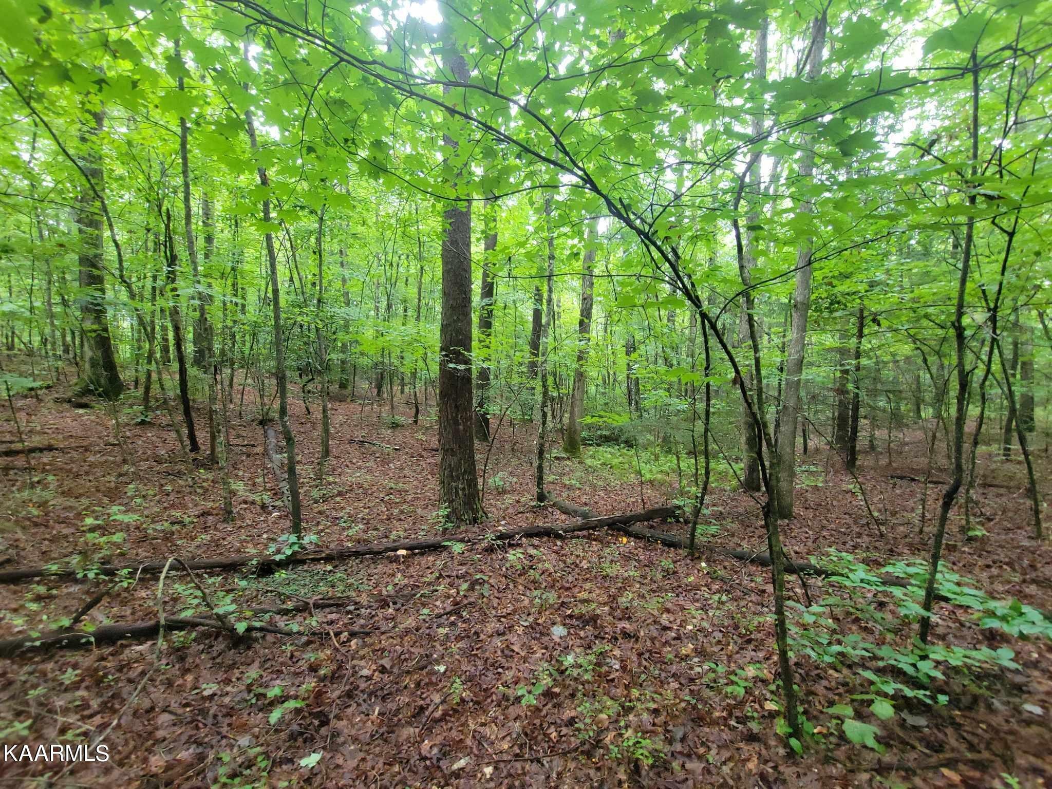 0 40 Model Farm Road Jamestown, TN 38556 - Photo 29 of 59