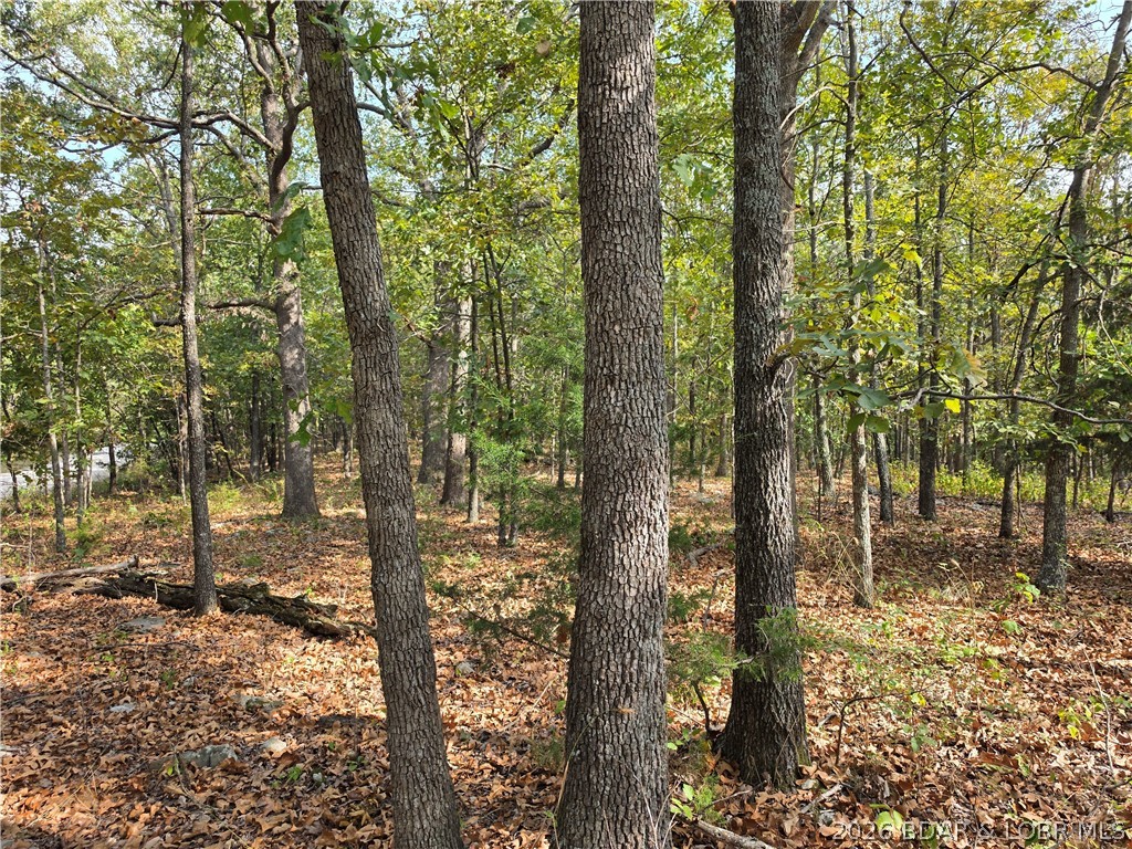 Forbes Road, Unit 2556 & 2557 Edwards, MO 65326 - Photo 5 of 26 Gallery Image 5