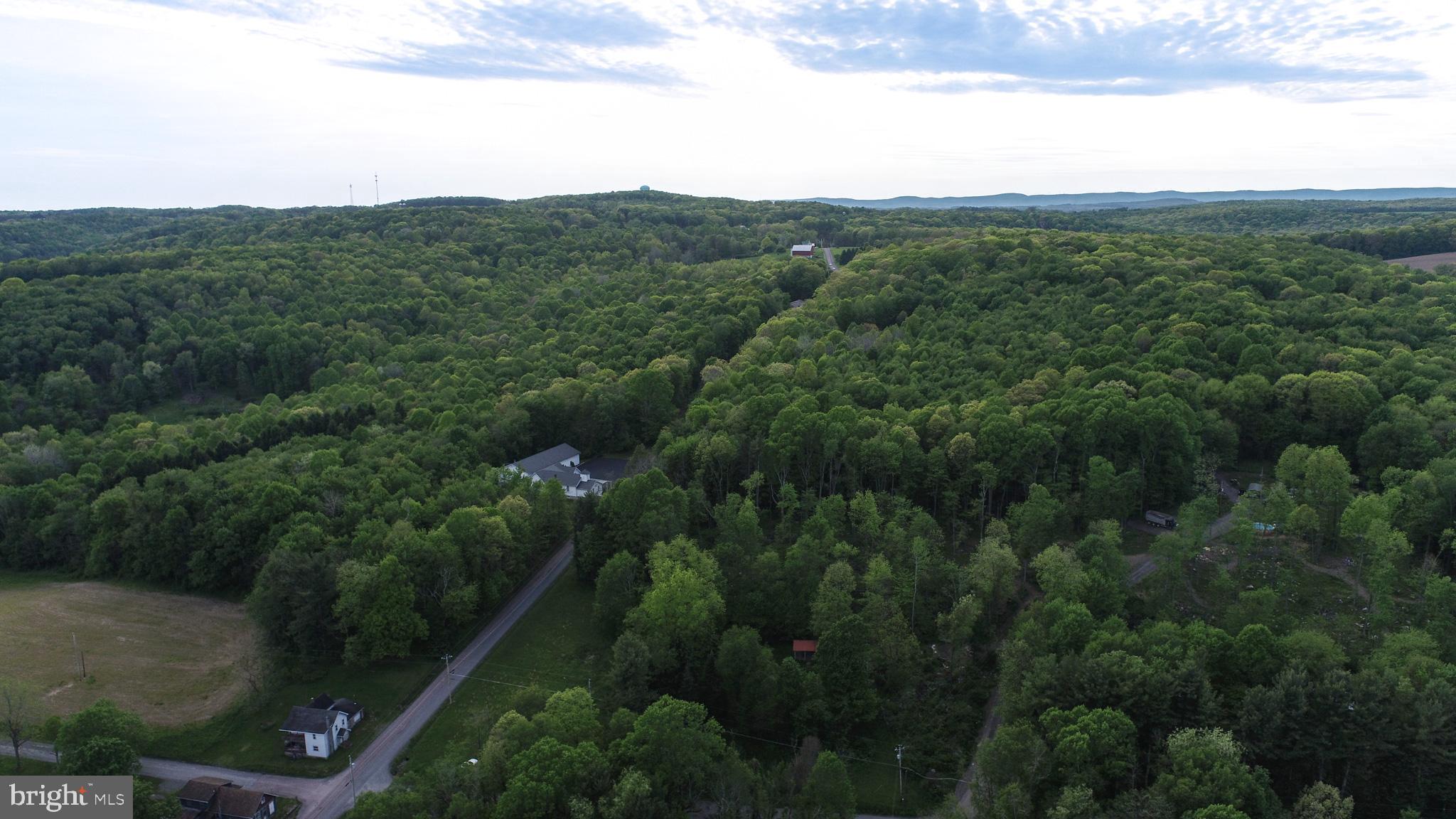 Greengables Road Friendsville, MD 21531 - Photo 10 of 18 a view of a city with lush green forest
