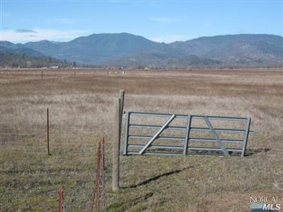21125 A Loconomi Road Middletown, CA 95461 - Photo 9 of 12 a view of a dry yard with wooden floor