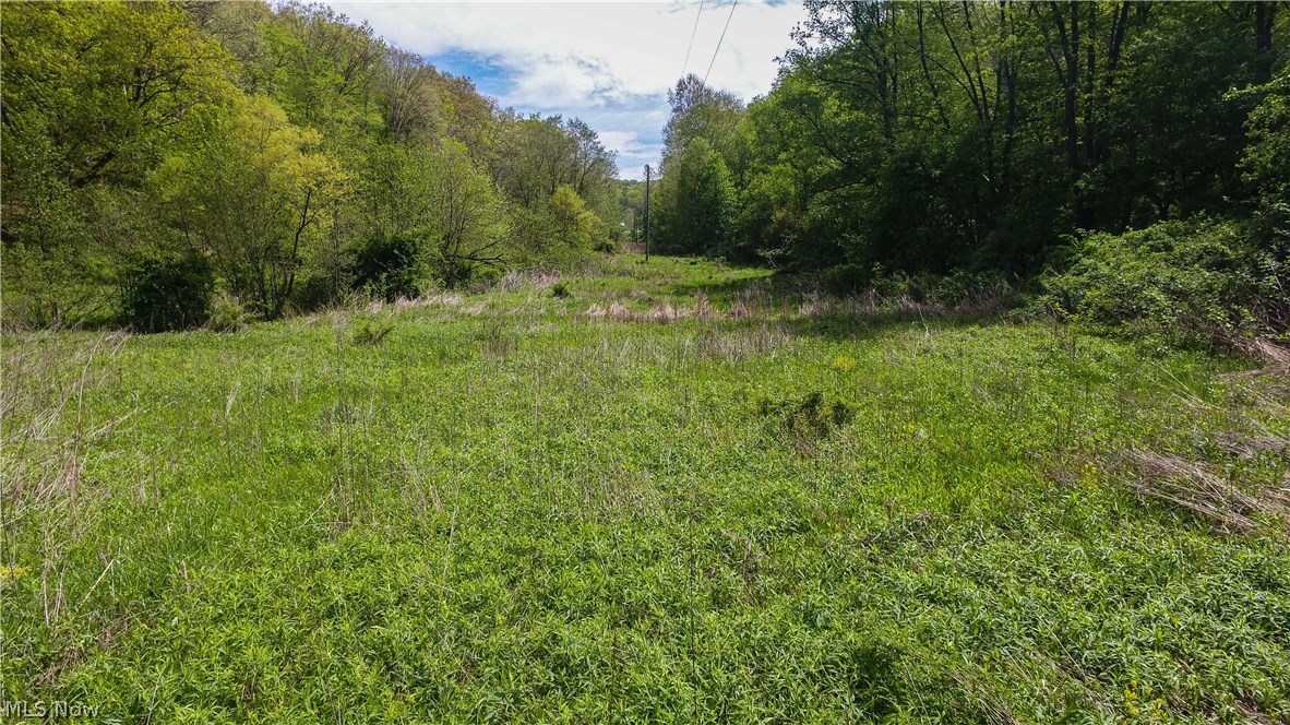 Dodd Road Brinkhaven, OH 43006 - Photo 1 of 5