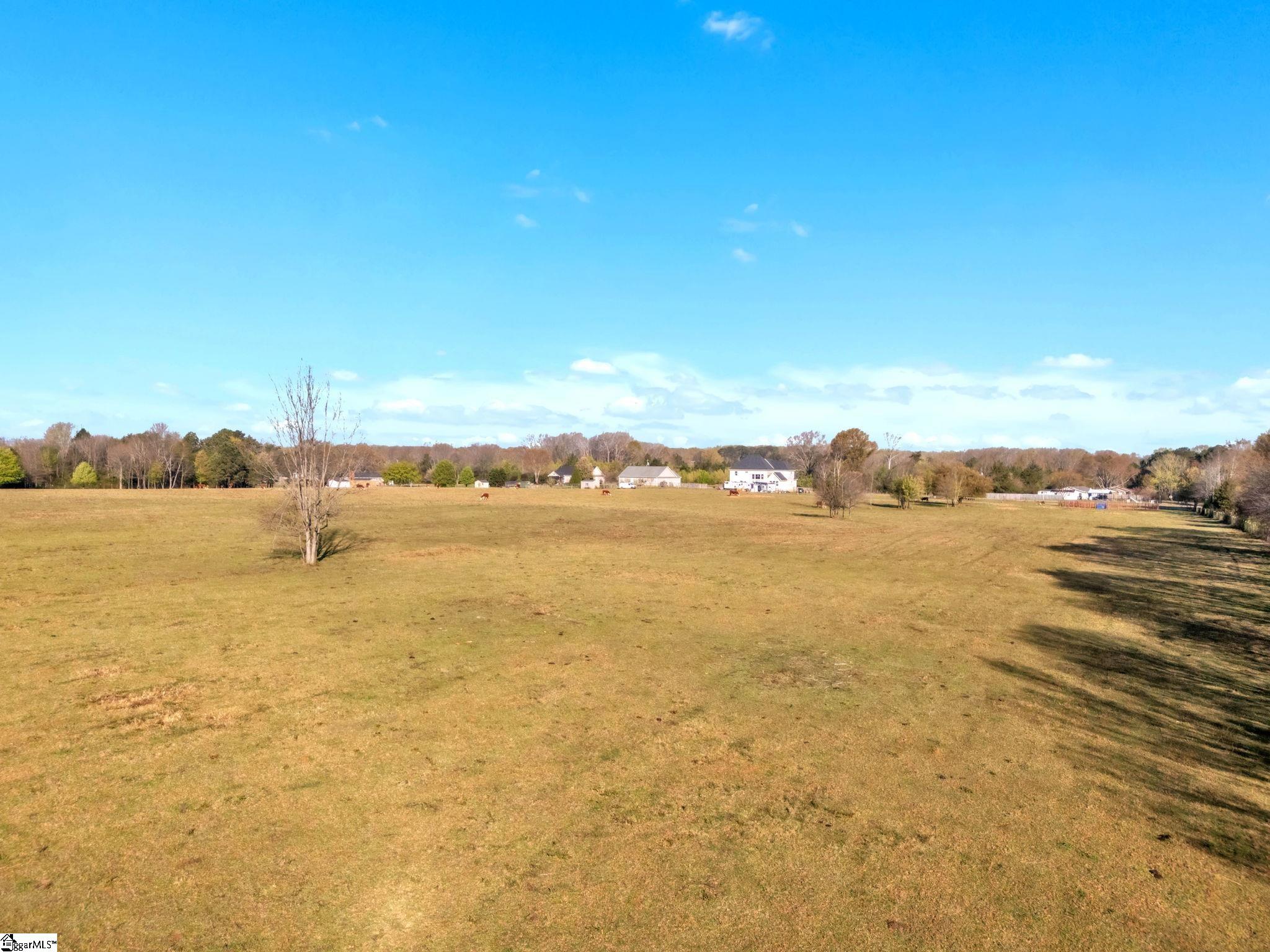 0 Johnson Road Pelzer, SC 29669 - Photo 2 of 12