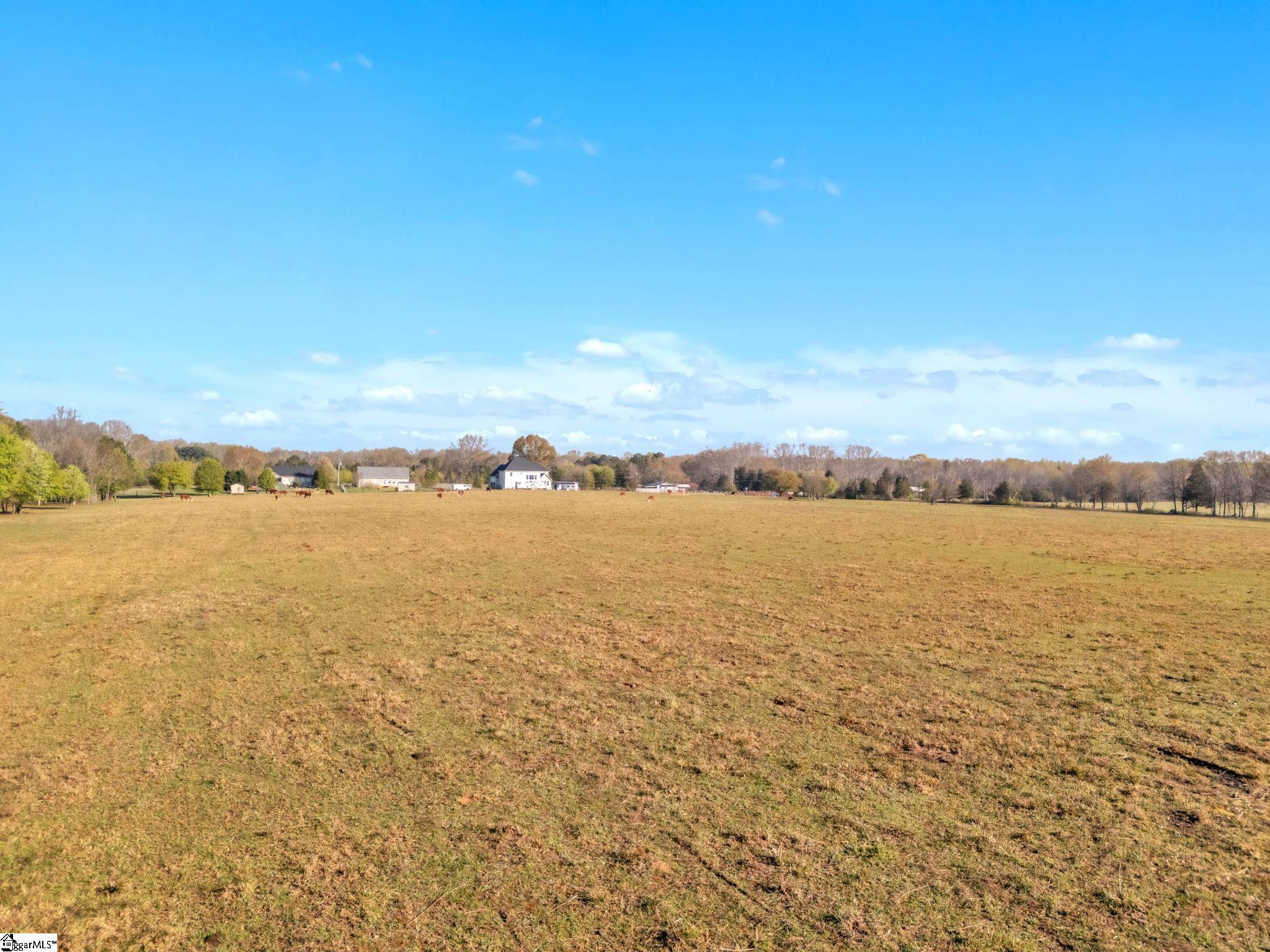 0 Johnson Road Pelzer, SC 29669 - Photo 3 of 12