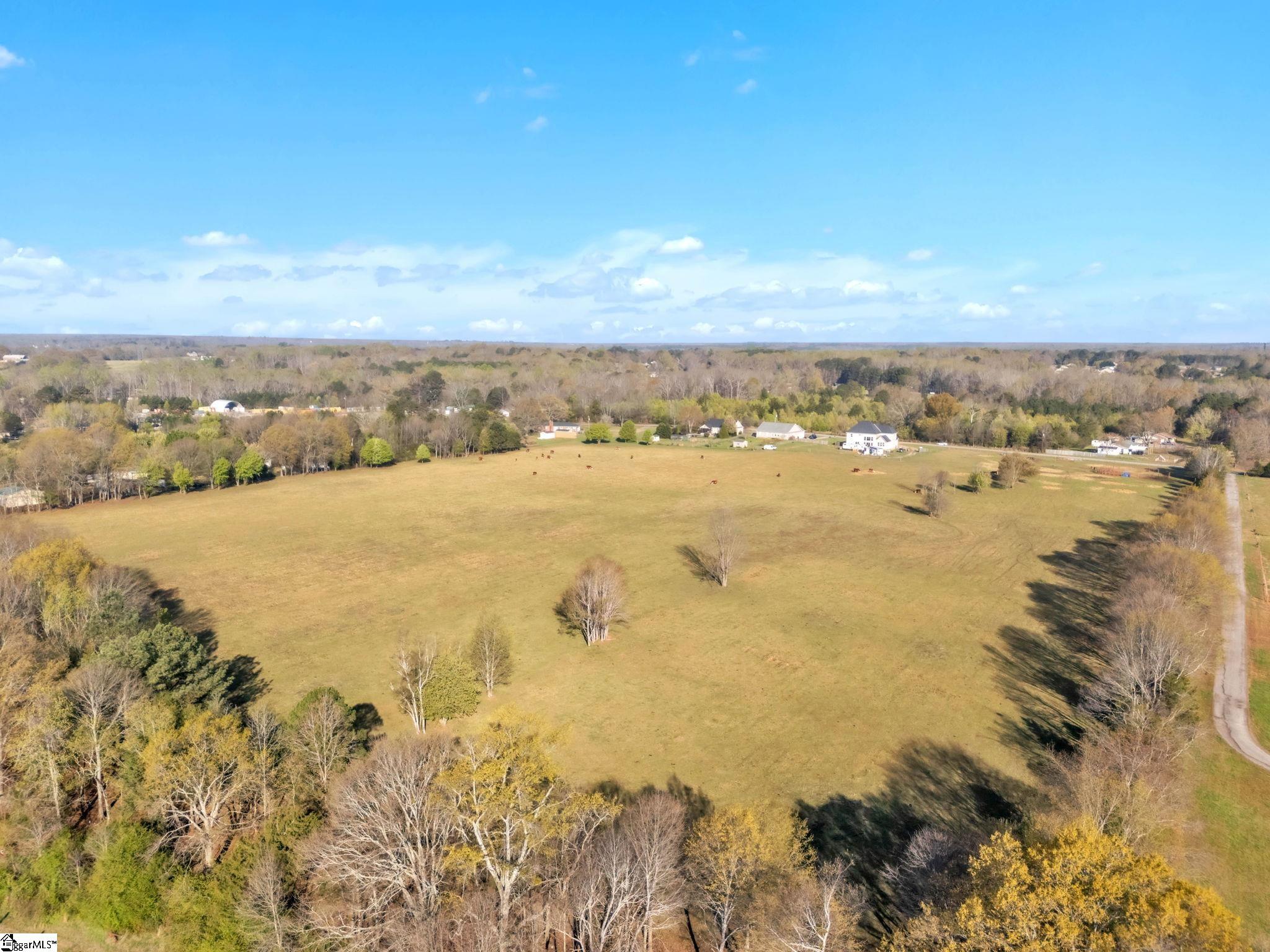 0 Johnson Road Pelzer, SC 29669 - Photo 4 of 12