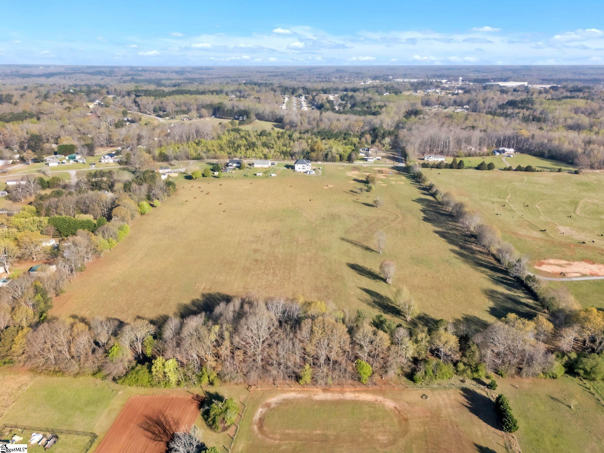 0 Johnson Road Pelzer, SC 29669 - Photo 7 of 12