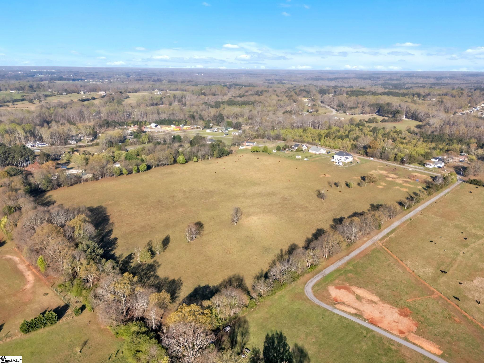 0 Johnson Road Pelzer, SC 29669 - Photo 9 of 12