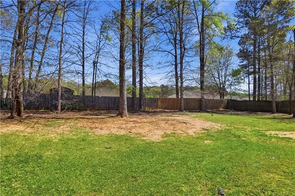 a view of backyard with tree