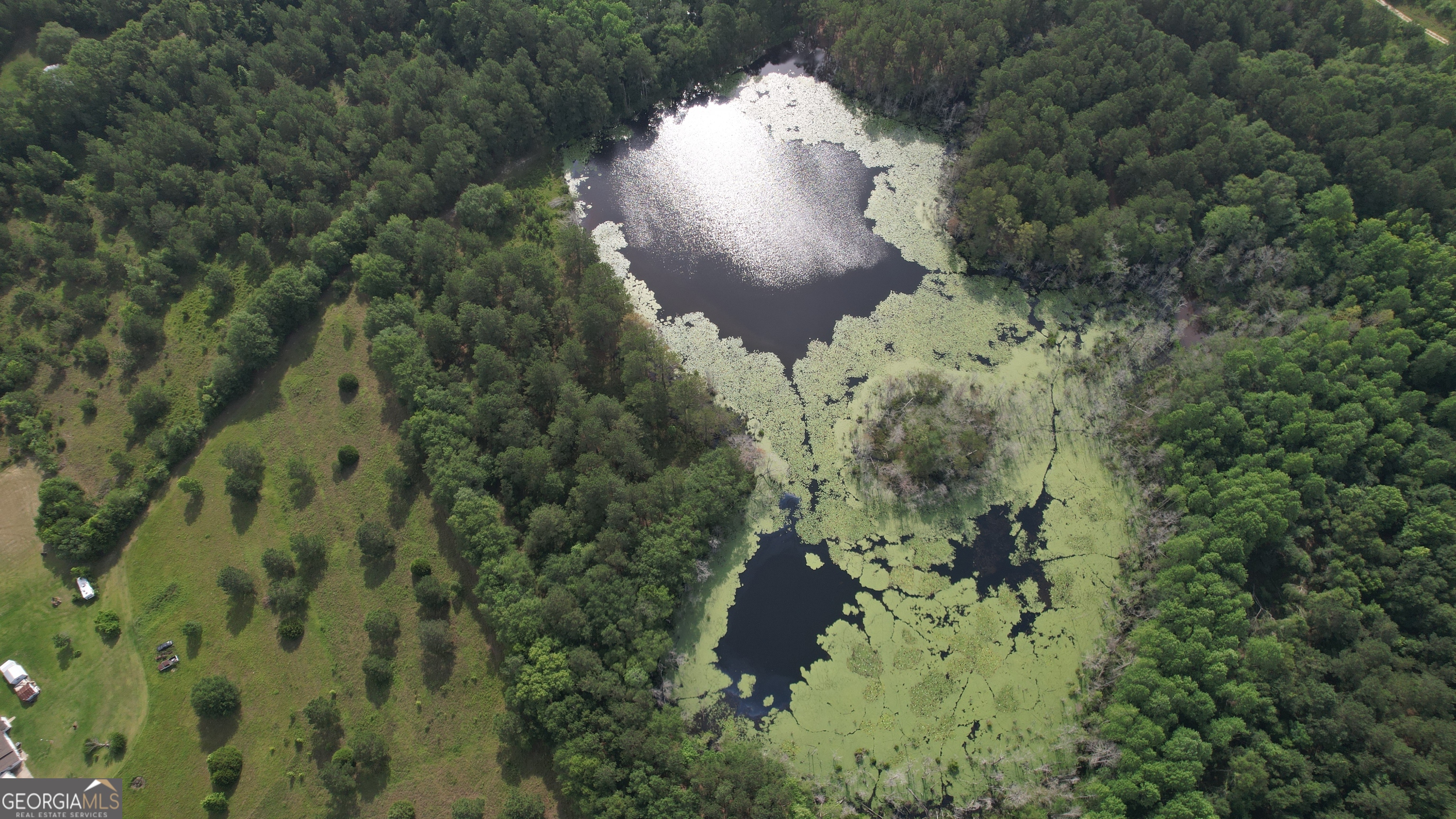 an aerial view of a house with a yard and covered with trees