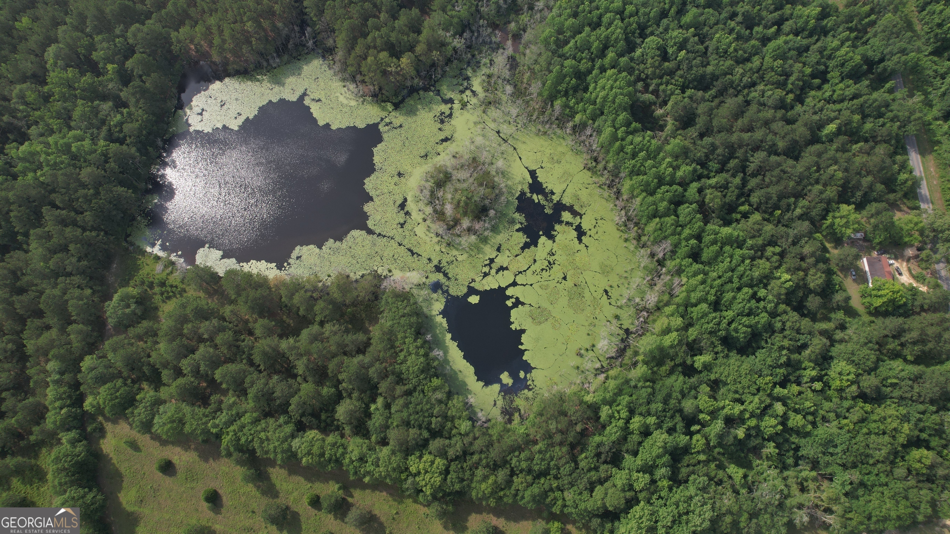 736 Arnett School Road Sylvania, GA 30467 - Photo 2 of 2 an aerial view of a house with a yard and large trees