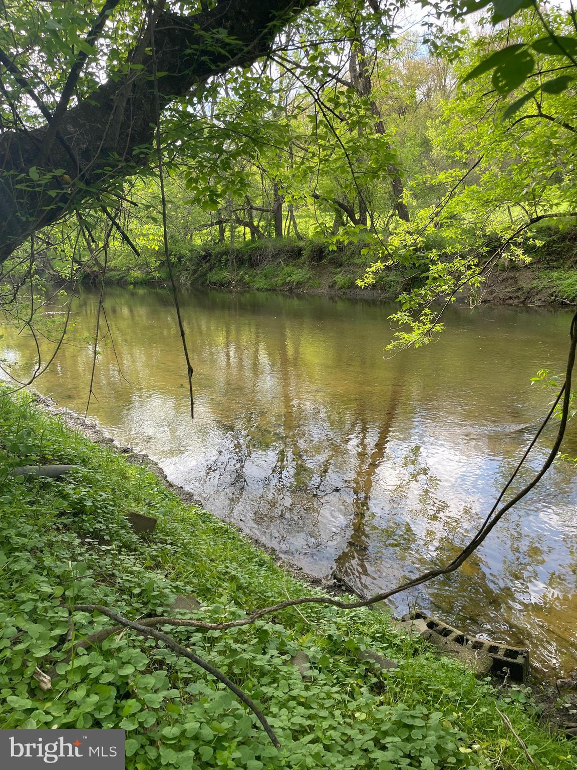 0 River Road Pequea, PA 17565 - Photo 19 of 28 a view of a lake from a yard