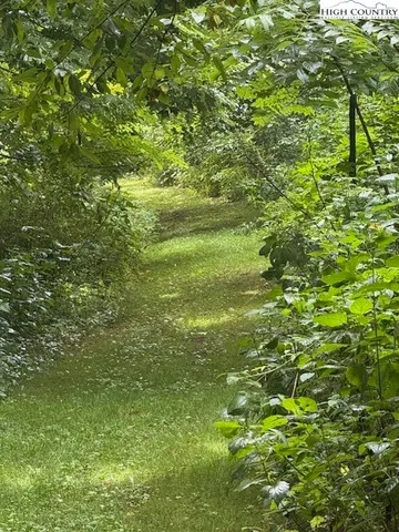 a view of a big yard of a building