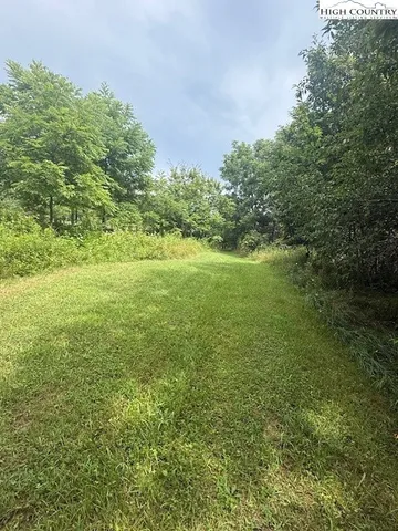 a view of a big yard with large trees