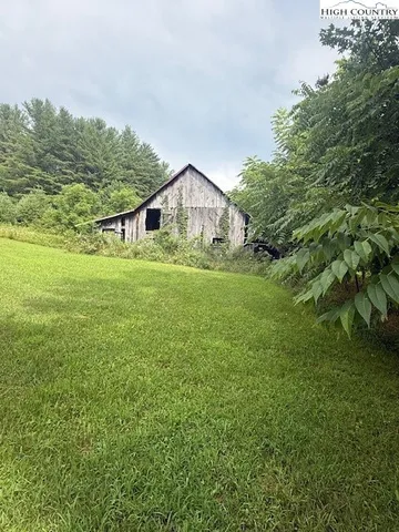 a view of a big yard with plants and large trees