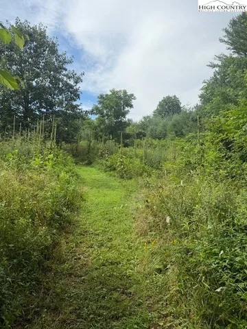 a view of a big yard of a building