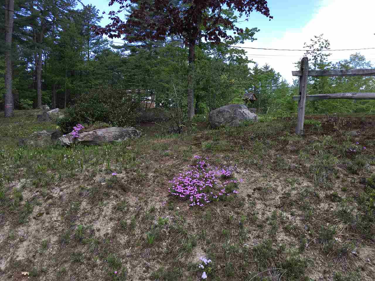 9 Granite Road Ossipee, NH 03864 - Photo 3 of 36