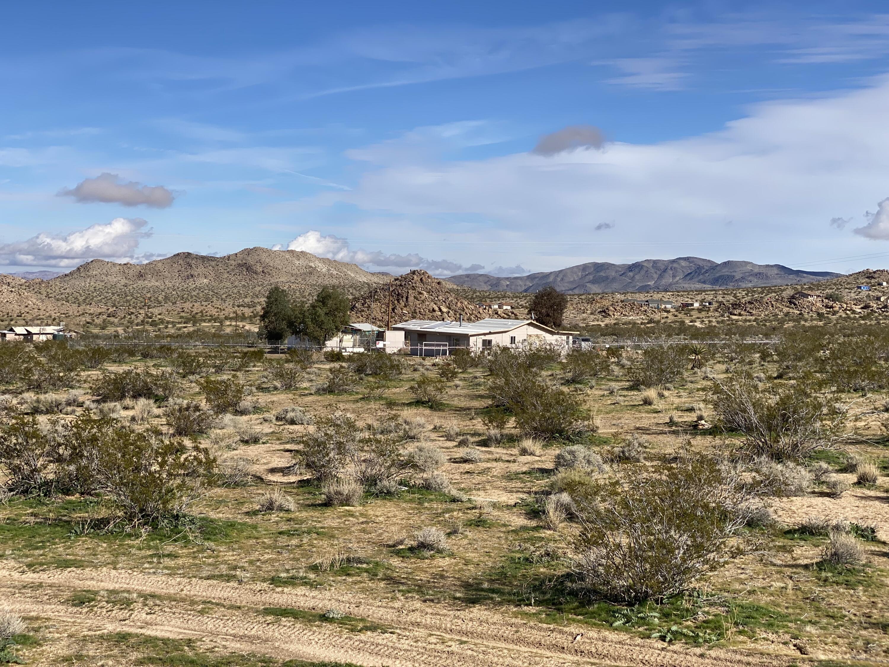 52020 Joshua Tree Road Johnson Valley, CA 92285 - Photo 4 of 49 IMG_7059 (1)