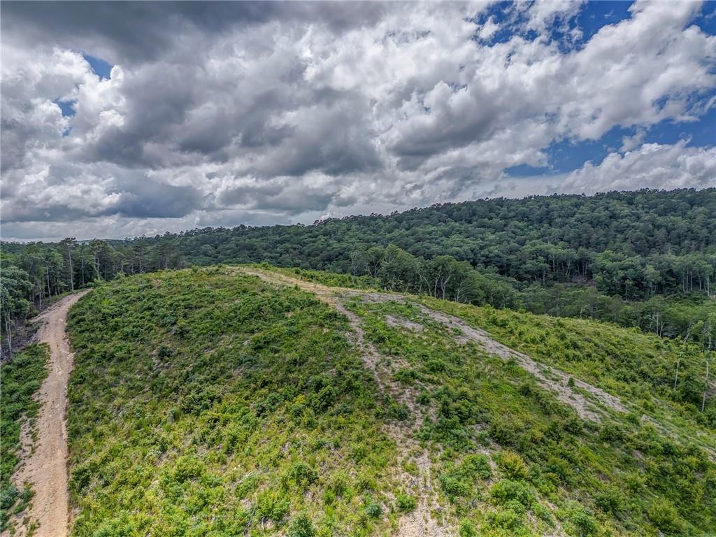 0 Big Texas Valley Road Northwest Rome, GA 30165 - Photo 2 of 7