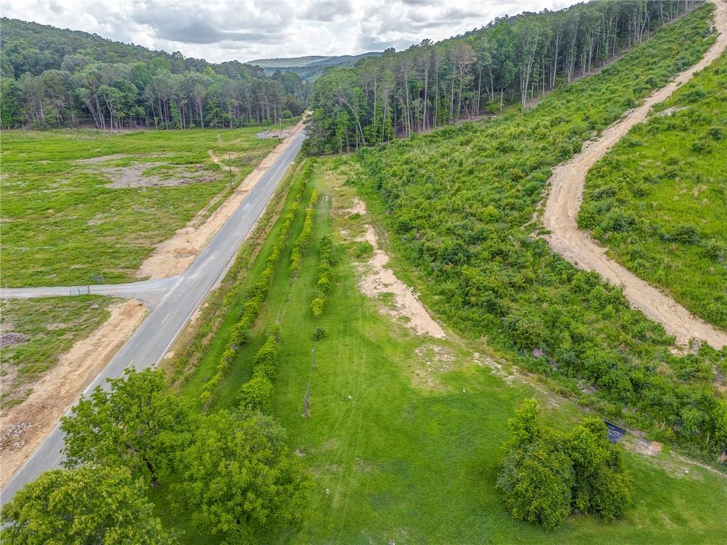 0 Big Texas Valley Road Northwest Rome, GA 30165 - Photo 7 of 7