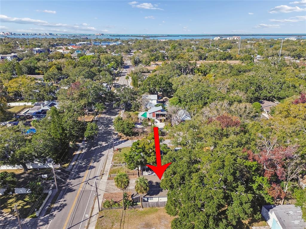 902 Beltrees Street Dunedin, FL 34698 - Photo 2 of 61