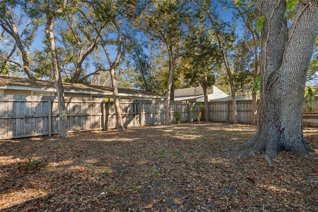 902 Beltrees Street Dunedin, FL 34698 - Photo 47 of 61