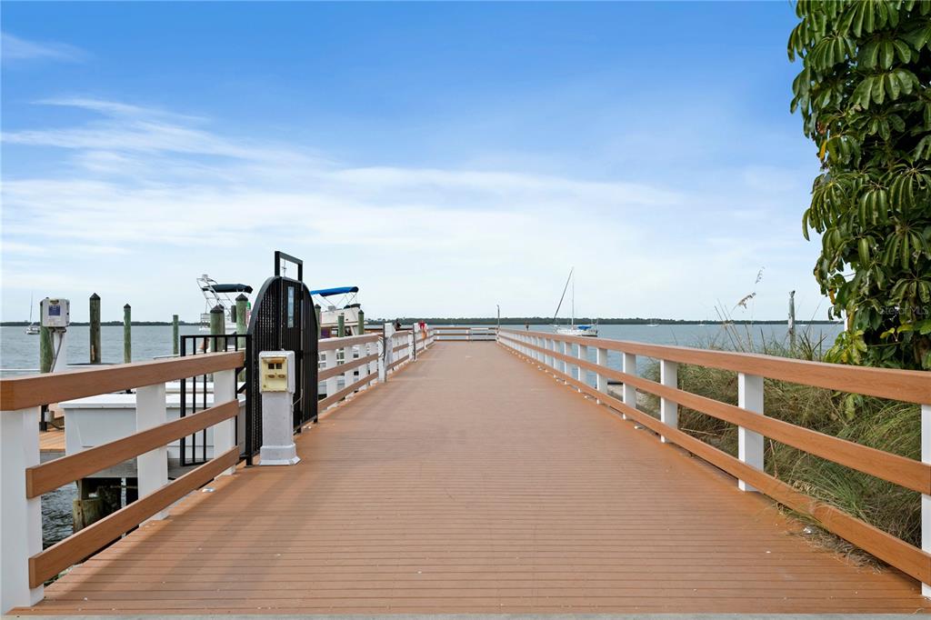 902 Beltrees Street Dunedin, FL 34698 - Photo 54 of 61