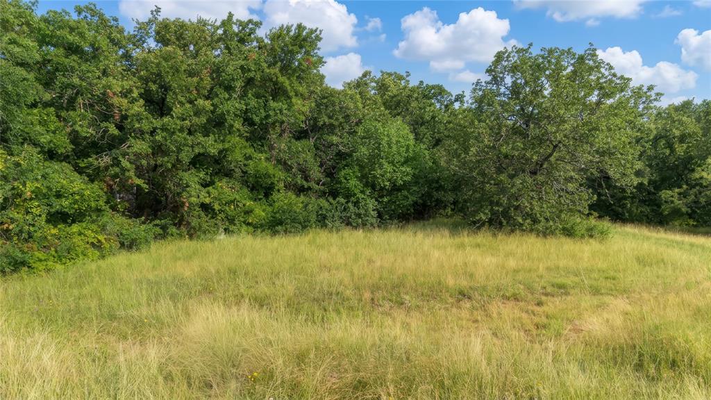 Tbd Segundo Drive Runaway Bay, TX 76426 - Photo 11 of 14