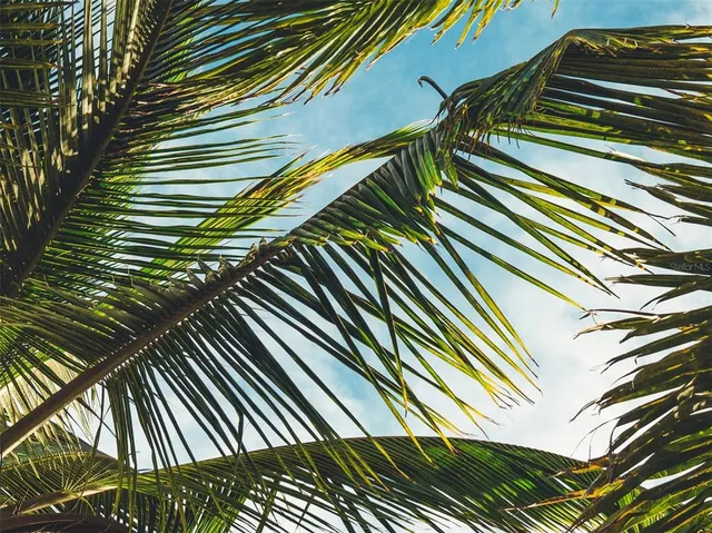 $4,000 | 8770 Midnight Pass Road, Unit 402B, Sarasota, FL 34242