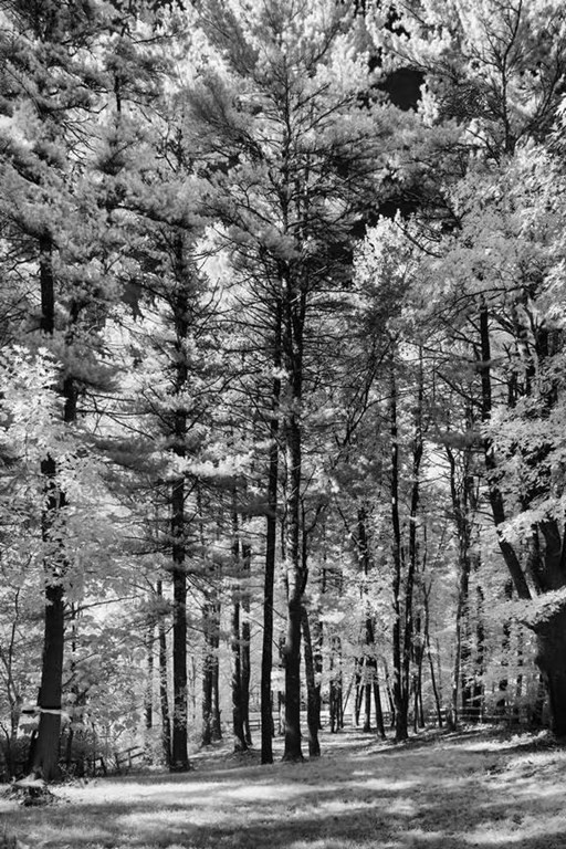 6 Lawrence Road Boxford, MA 01921 - Photo 42 of 42 a view of a city