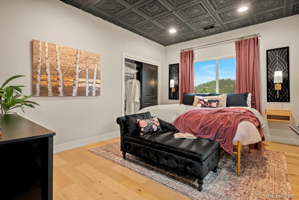 518 Conifer Drive Bailey, CO 80421 - Photo 33 of 50 a bed room with a bed and a potted plant