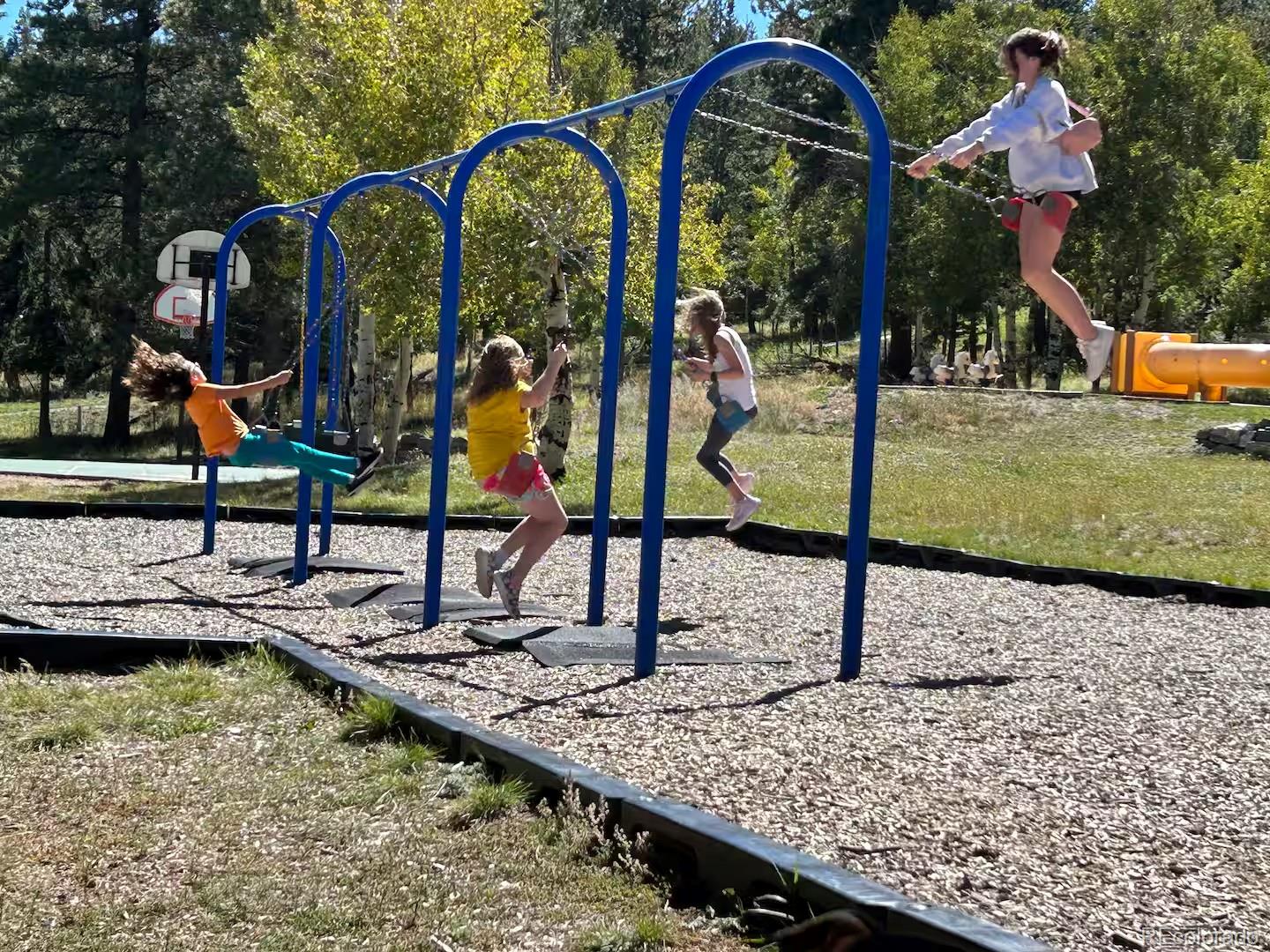 518 Conifer Drive Bailey, CO 80421 - Photo 48 of 50 a view of swimming pool with a patio