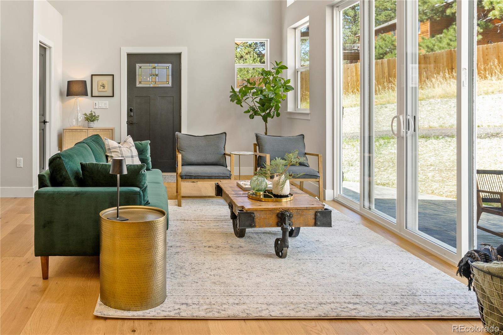 518 Conifer Drive Bailey, CO 80421 - Photo 8 of 50 a living room with furniture and a rug