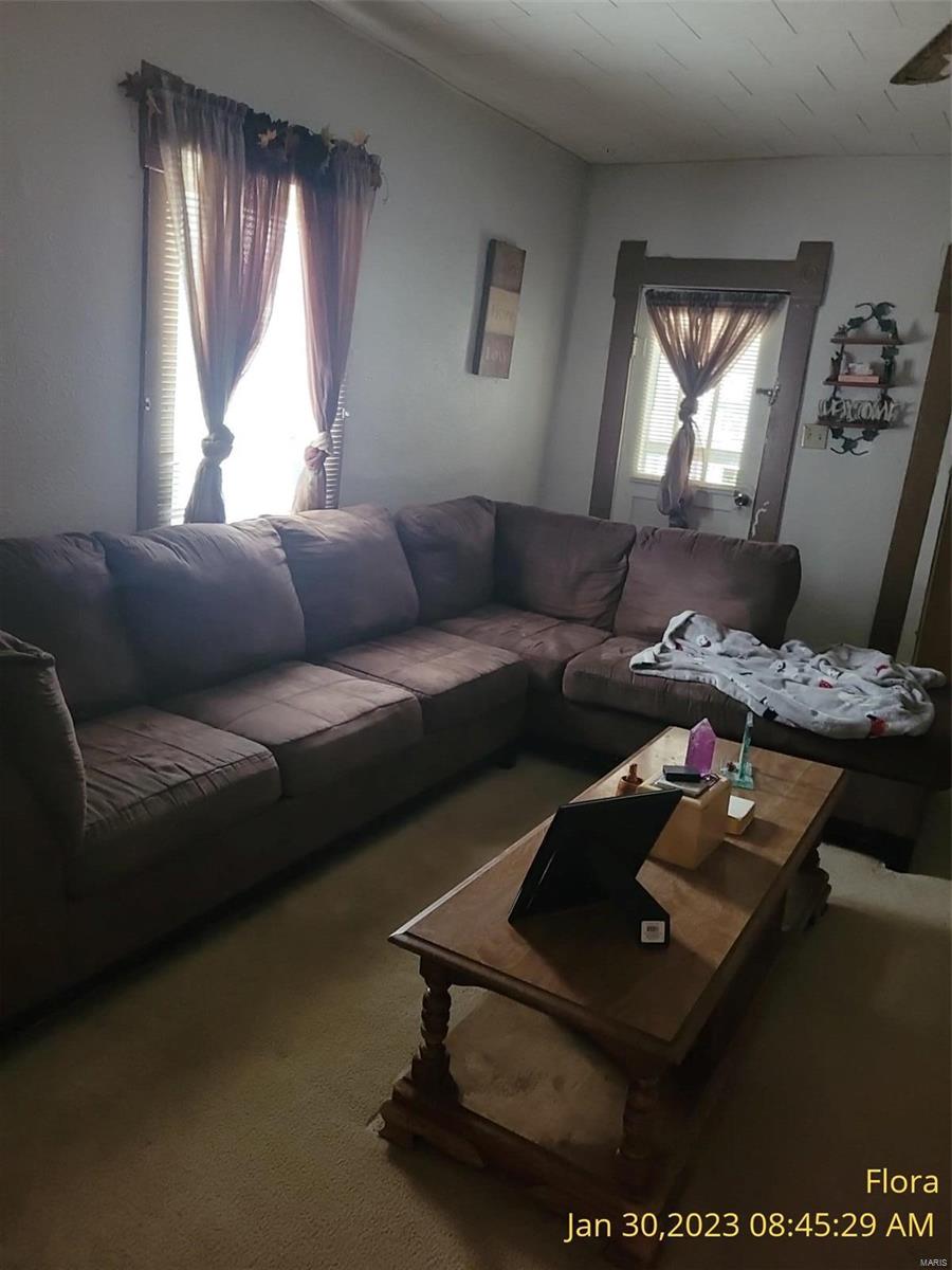 551 West 3rd Street Flora, IL 62839 - Photo 7 of 16