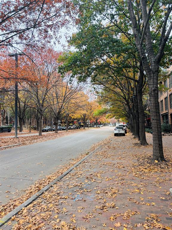 15727 Seabolt Place Addison, TX 75001 - Photo 23 of 24