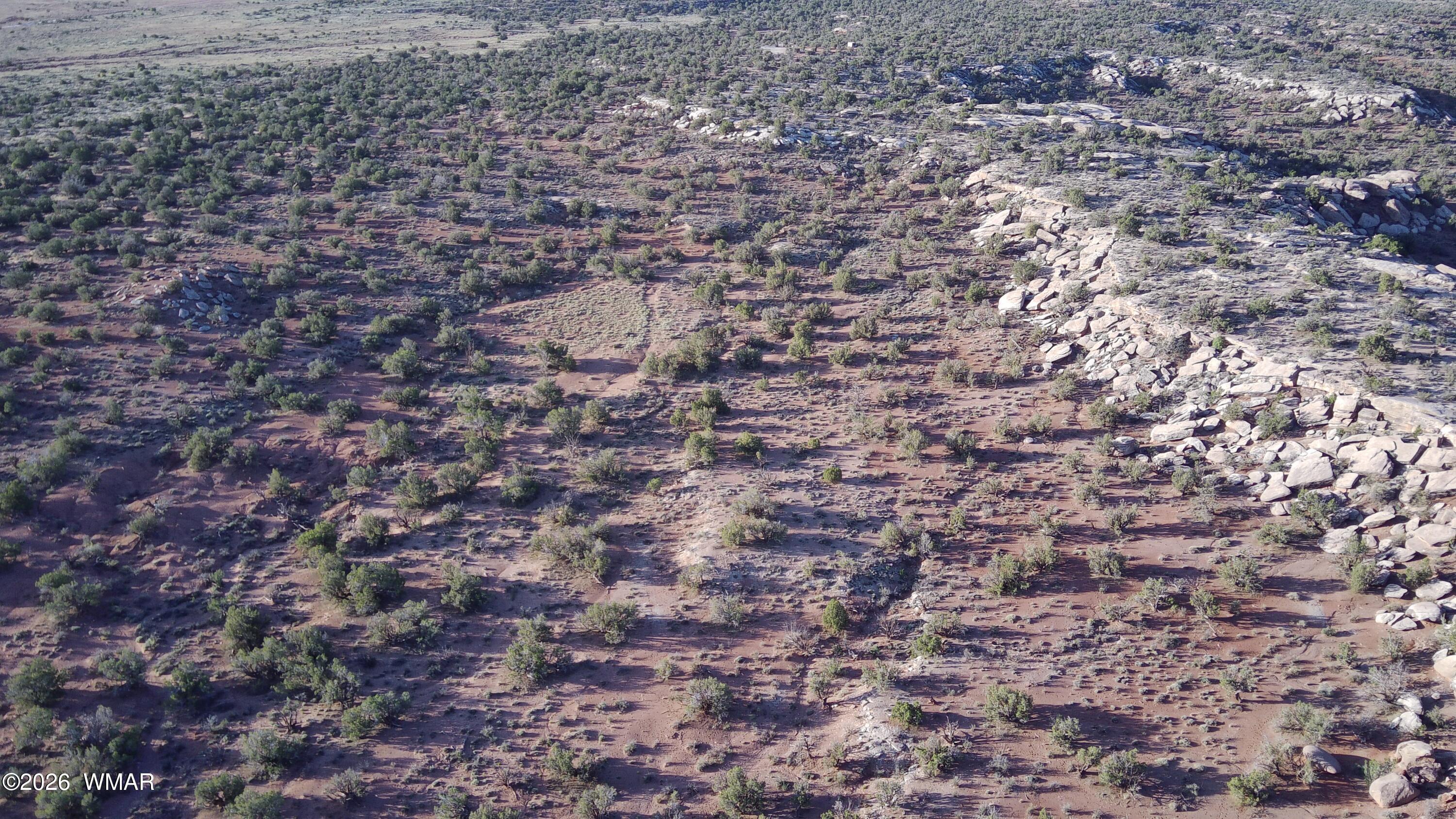3791 Anasazi Road Snowflake, AZ 85937 - Photo 6 of 19 a view of a dry yard