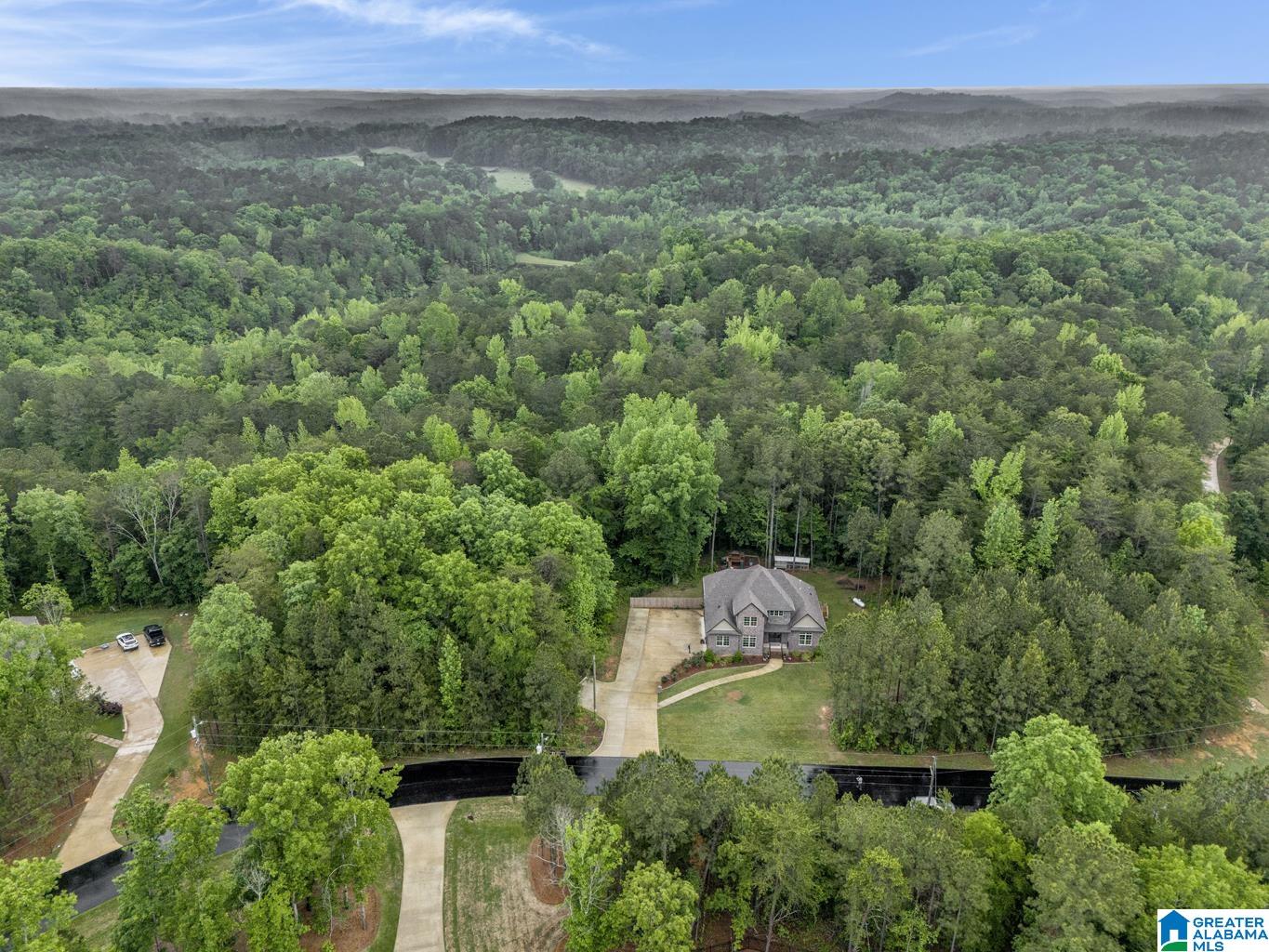 185 Cornerstone Circle Calera, AL 35040 - Photo 65 of 68