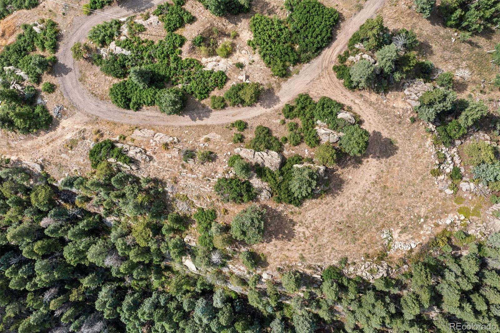 13854 North Trail Circle Littleton, CO 80127 - Photo 9 of 17 a plant with lots of trees