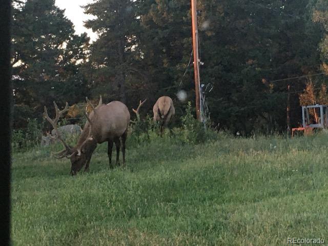 13854 North Trail Circle Littleton, CO 80127 - Photo 10 of 17 a backyard of a house with lots of green space and outdoor seating