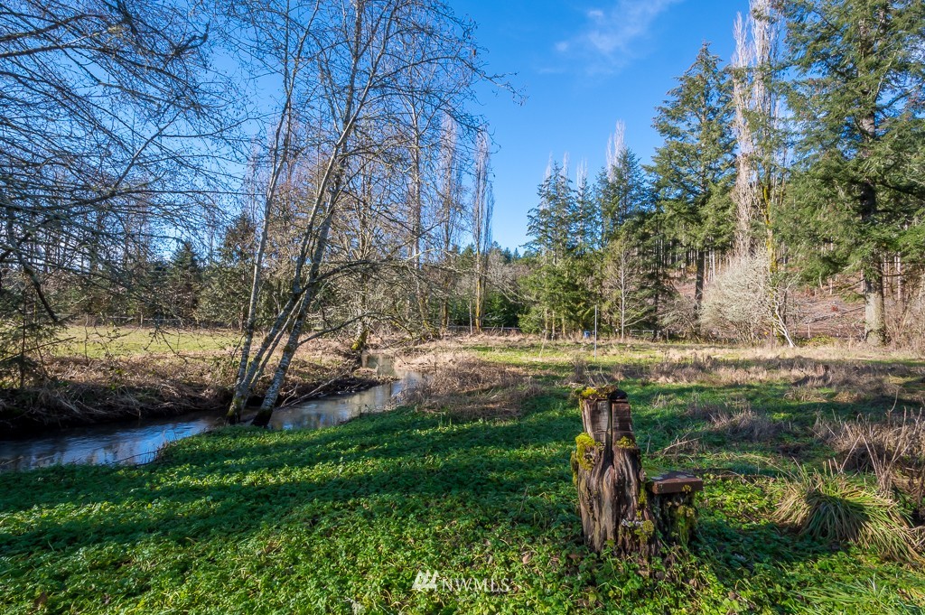 289 Conrad Road Winlock, WA 98596 - Photo 14 of 15