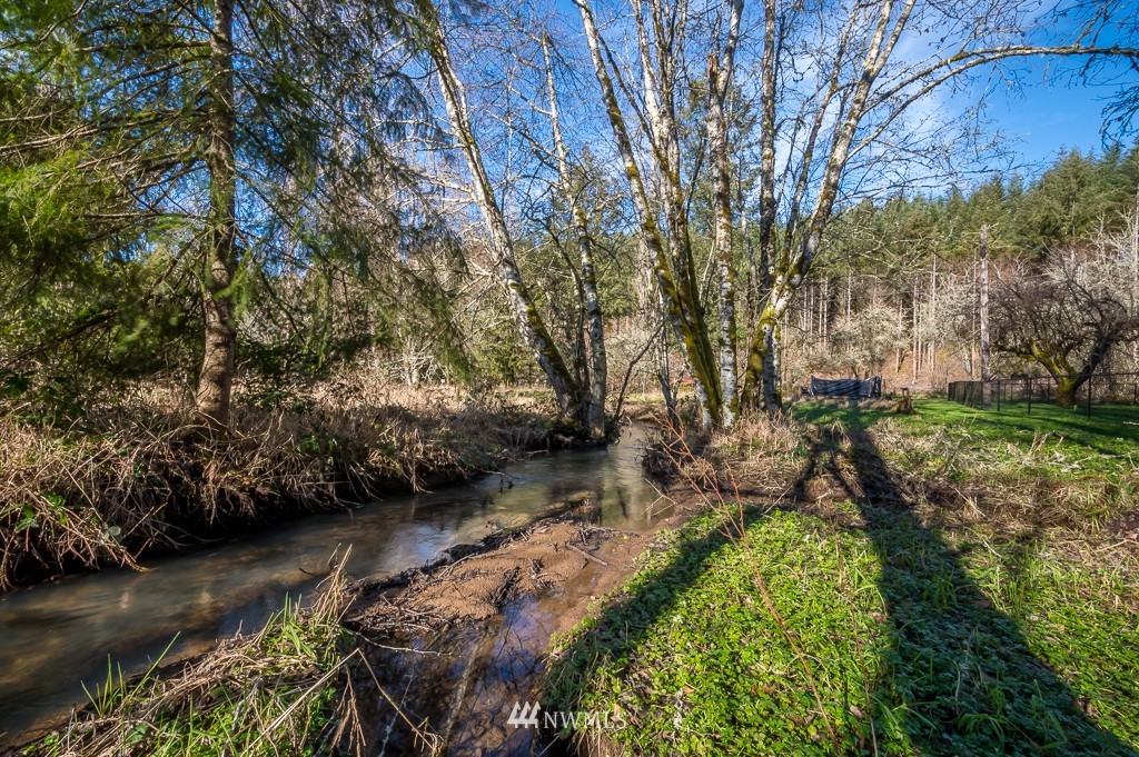 289 Conrad Road Winlock, WA 98596 - Photo 15 of 15