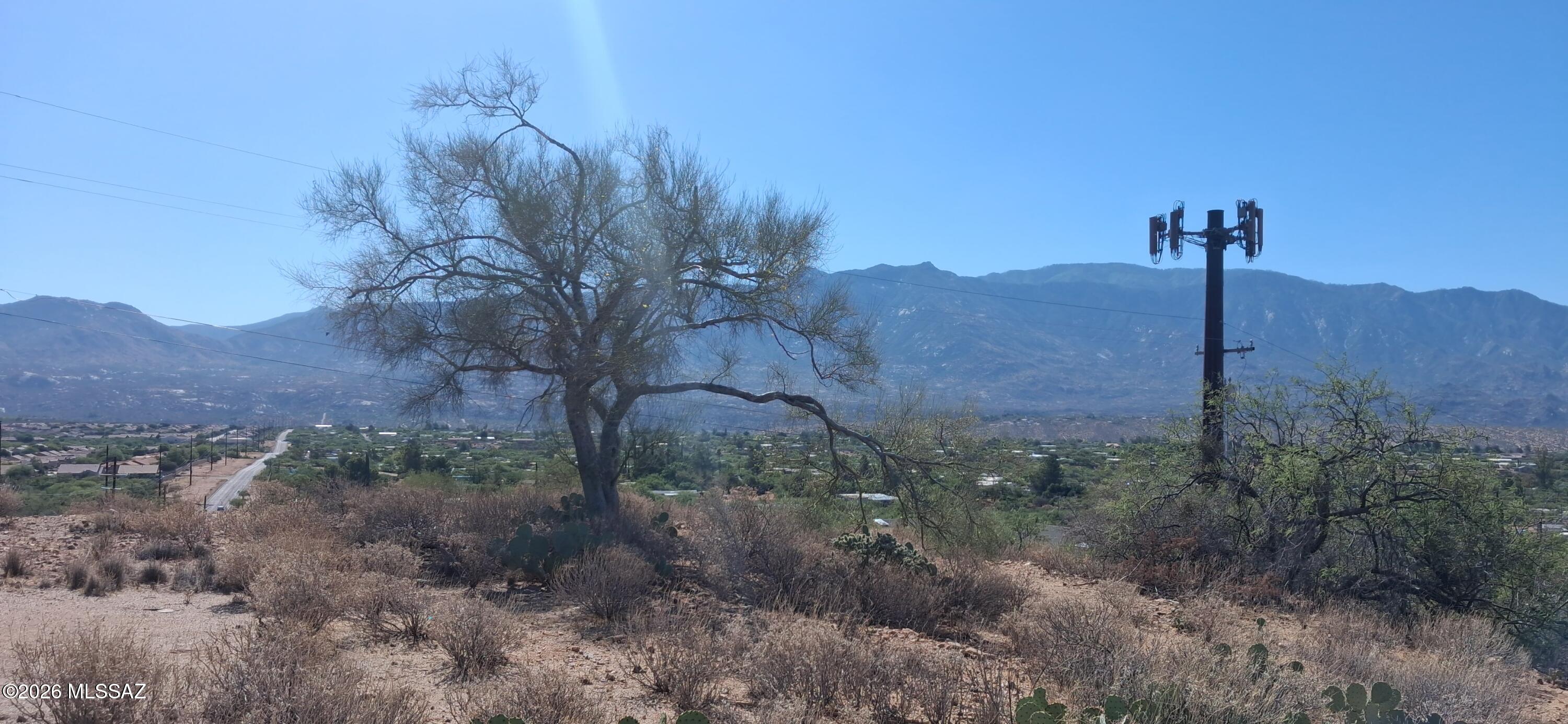 3630 East Edwin Road Tucson, AZ 85739 - Photo 2 of 6 a view of a forest with a tree in the background