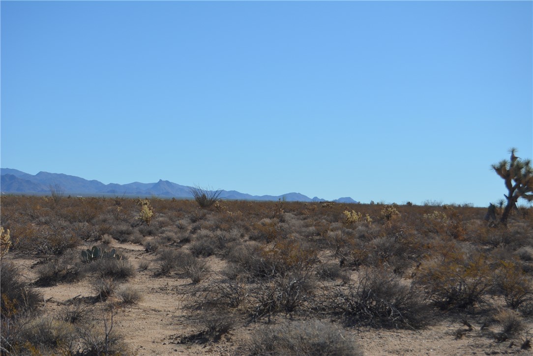 207-35-005 South Arlington Road Yucca, AZ 86438 - Photo 13 of 92
