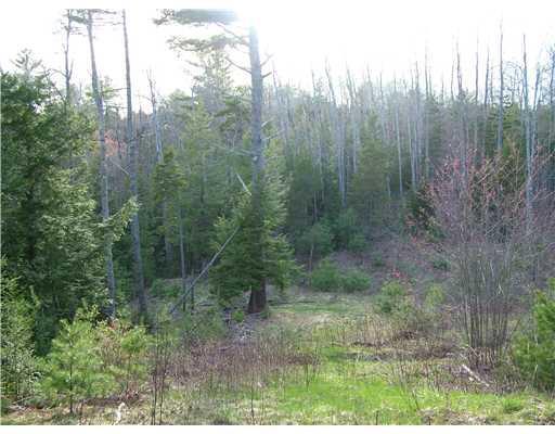 Mr-6-l21 Pyle Road Ellsworth, ME 04605 - Photo 18 of 19 Land/Lot.
