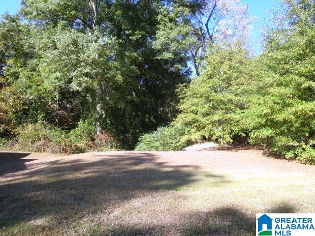 289 Knowles Avenue Lineville, AL 36266 - Photo 3 of 9