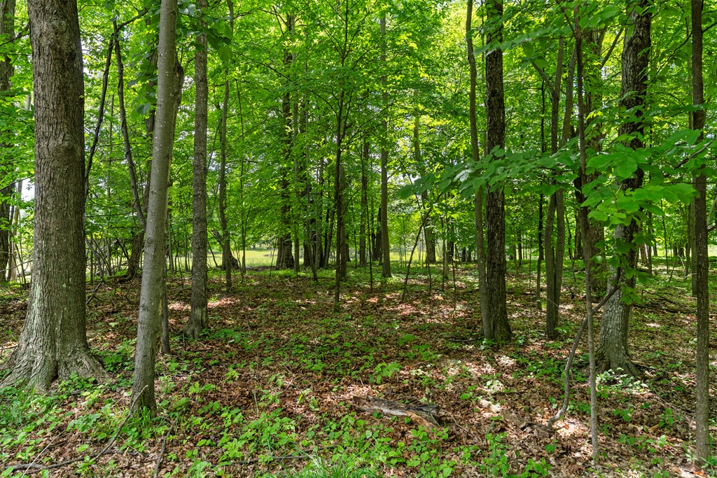 Lot #1 Horseshoe Bay Road Egg Harbor, WI 54209 - Photo 6 of 24
